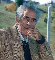 Məmməd Araz haqqında